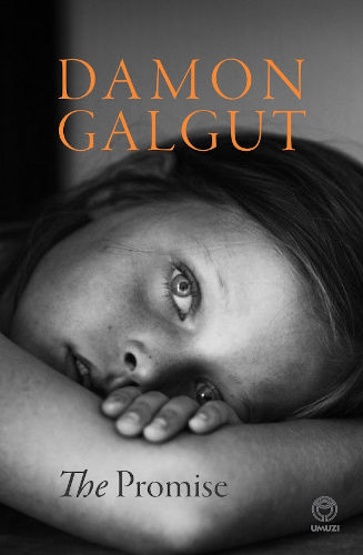 synopsis of the promise damon galgut